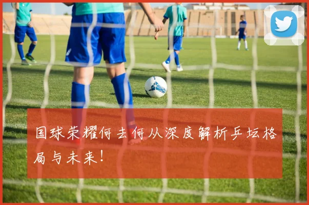 国球荣耀何去何从深度解析乒坛格局与未来!