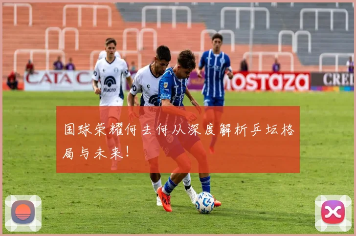 国球荣耀何去何从深度解析乒坛格局与未来！