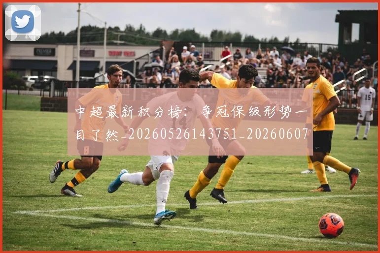 中超最新积分榜:争冠保级形势一目了然_20260526143751_20260607160749