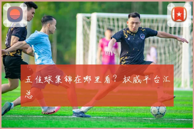 五佳球集锦在哪里看?权威平台汇总